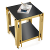 Woker Furniture 20" Wide Square End Table with Black Glass Top, Golden Stainless Steel Tempered Glass End Table for Living Room&Bed Room