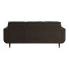 Mid-Century Modern Chocolate Hue Velvet Upholstered 1pc Sofa with 2 Pillows Classic Living Room Furniture Solid Wood