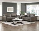 Elegant Modern Style 2pc Sofa Set Brownish Gray Polished Microfiber Upholstery Sofa Loveseat Set Solid Wood Living Room Furniture Silver Finish Metal