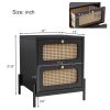 3 Pieces Modern Cannage Rattan Platform Queen Bed + Nightstand*2, Black