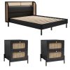 3 Pieces Modern Cannage Rattan Platform Queen Bed + Nightstand*2, Black